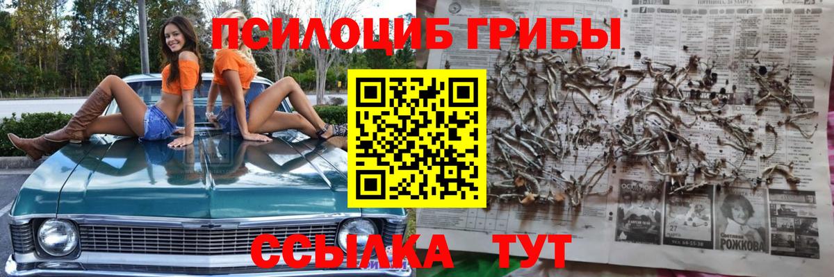 Псилоцибиновые грибы Magic Shrooms Павлово