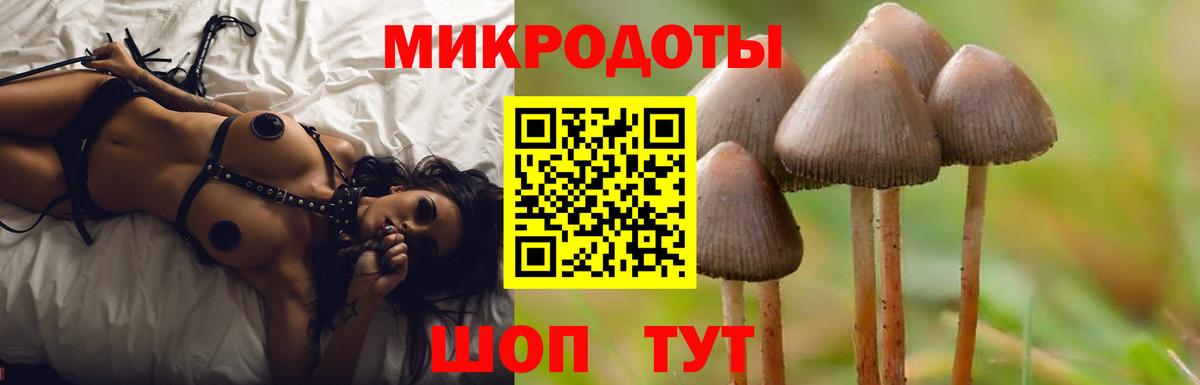 Павлово  Псилоцибиновые грибы ЛСД  Вход с VPN 